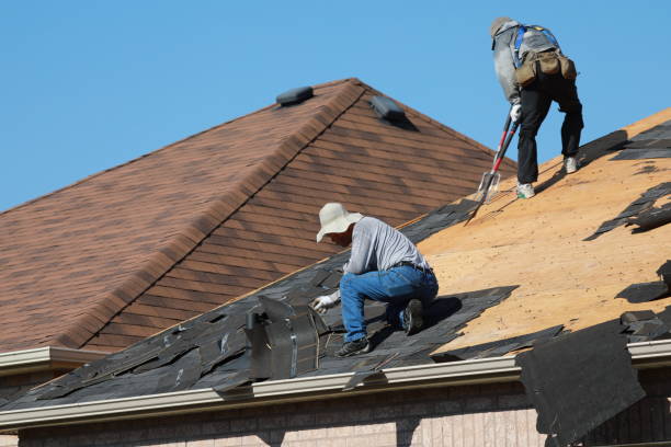 Best Roof Maintenance and Cleaning  in Vergennes, VT